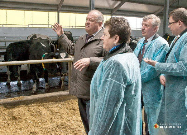 Шихобалово юрьев-польский. Шипилово ферма юрьев польский. Спк юрьев польский. Спк юрьев польский. Спк юрьев польский.