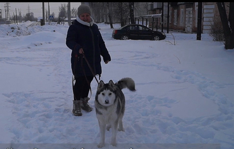 Реабилитация и поиск нового дома