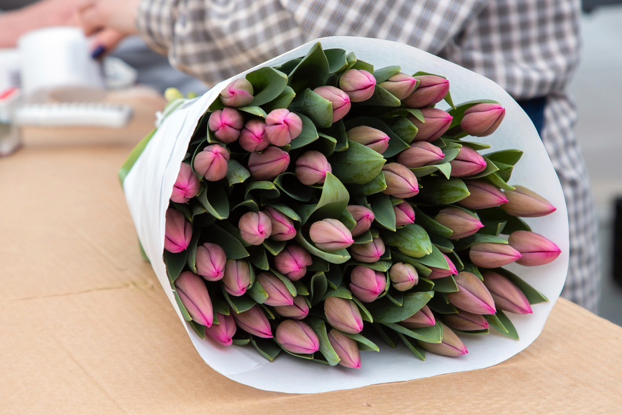 Педагоги Владимирской области, удостоенные звания Заслуженный учитель РФ